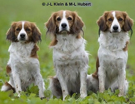 Койкерхондье